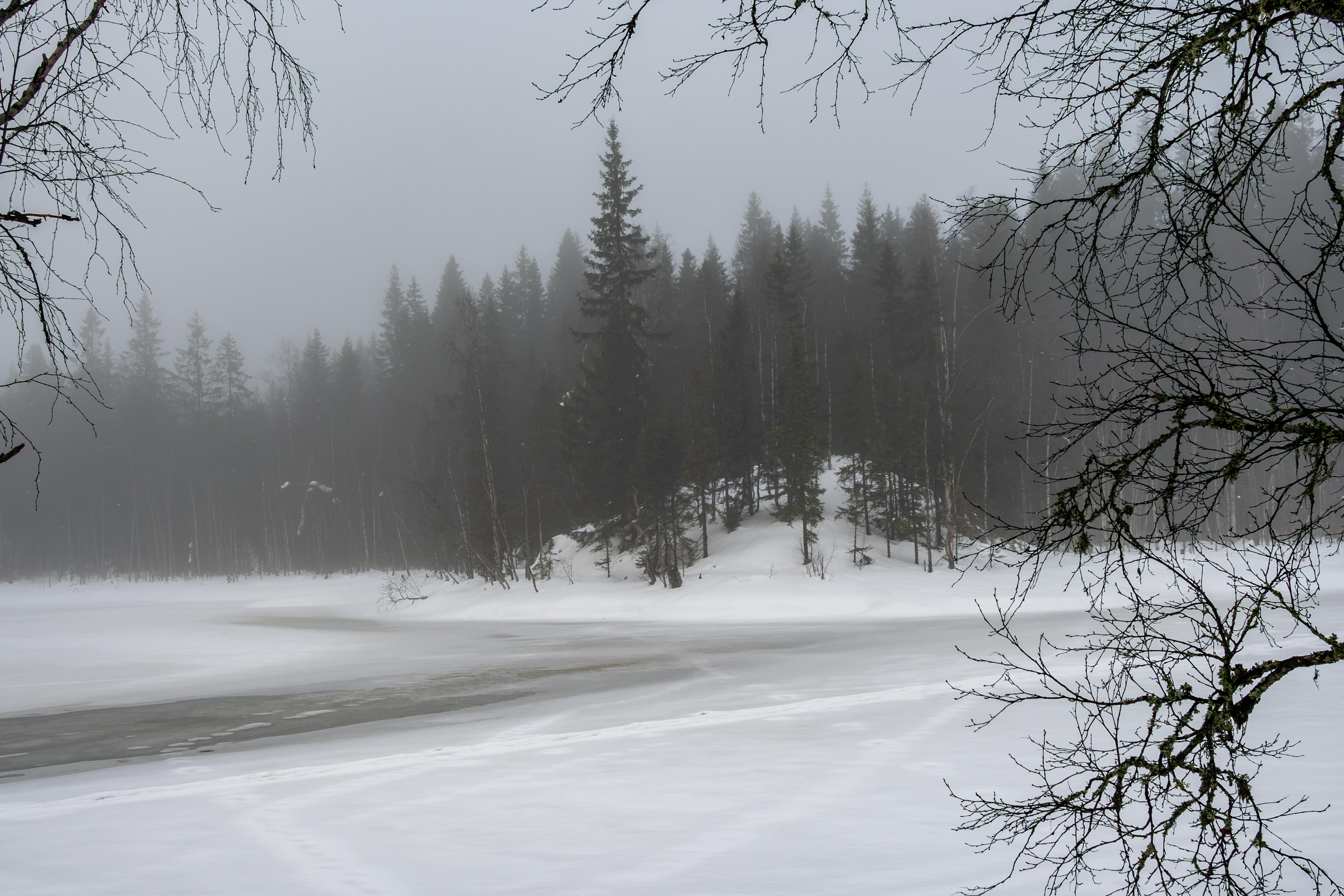 Photo 95